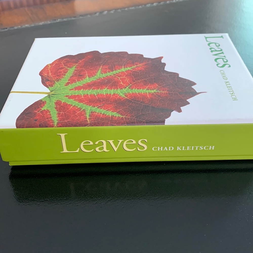 Leaves Note Cards & Matching Envelopes